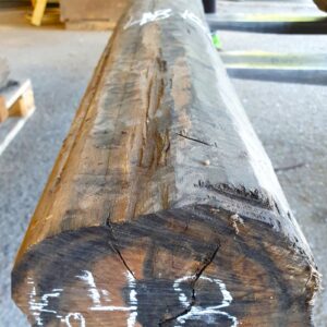 TRONCHETTO EBANO GABON